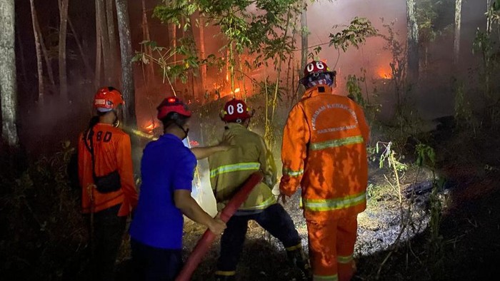 Kebakaran hutan dan lahan (Karhutla) terjadi di kawasan hutan pinus Desa Dermosari, Kecamatan Tugu, Trenggalek