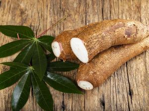 5 Manfaat Daun Singkong dan Kandungan Gizinya
