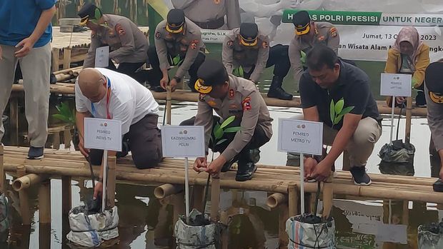 Penanaman mangrove oleh Div Humas Polri (Rumondang-detikcom)