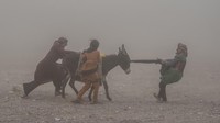 Badai pasir menambah kesengsaraan warga Afghanistan setelah mereka diguncang gempa.  