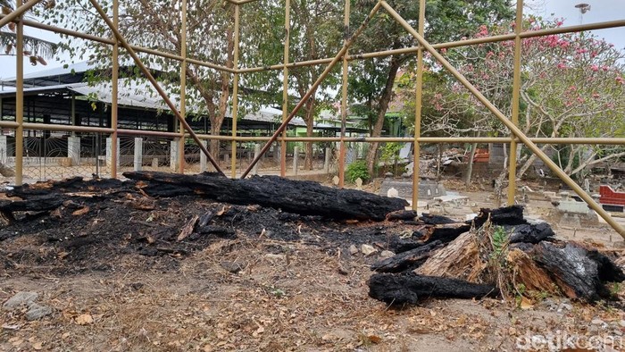 Pohon randu alas di makam Pleret terbakar Pohon randu alas di makam Pleret terbakar, Kamis (12/10/2023). Tampak sisa pohon yang terbakar itu menjadi arang. Foto diambil Jumat (13/10).