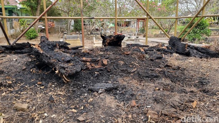 Pohon randu alas di makam Pleret terbakar Pohon randu alas di makam Pleret terbakar, Kamis (12/10/2023). Tampak sisa pohon yang terbakar itu menjadi arang. Foto diambil Jumat (13/10).