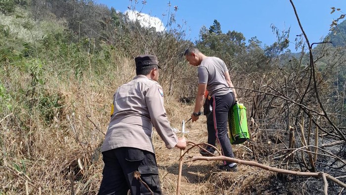Polisi dan relawan menyisir titik api di Gunung Ungaran, Jumat (13/10/2023).