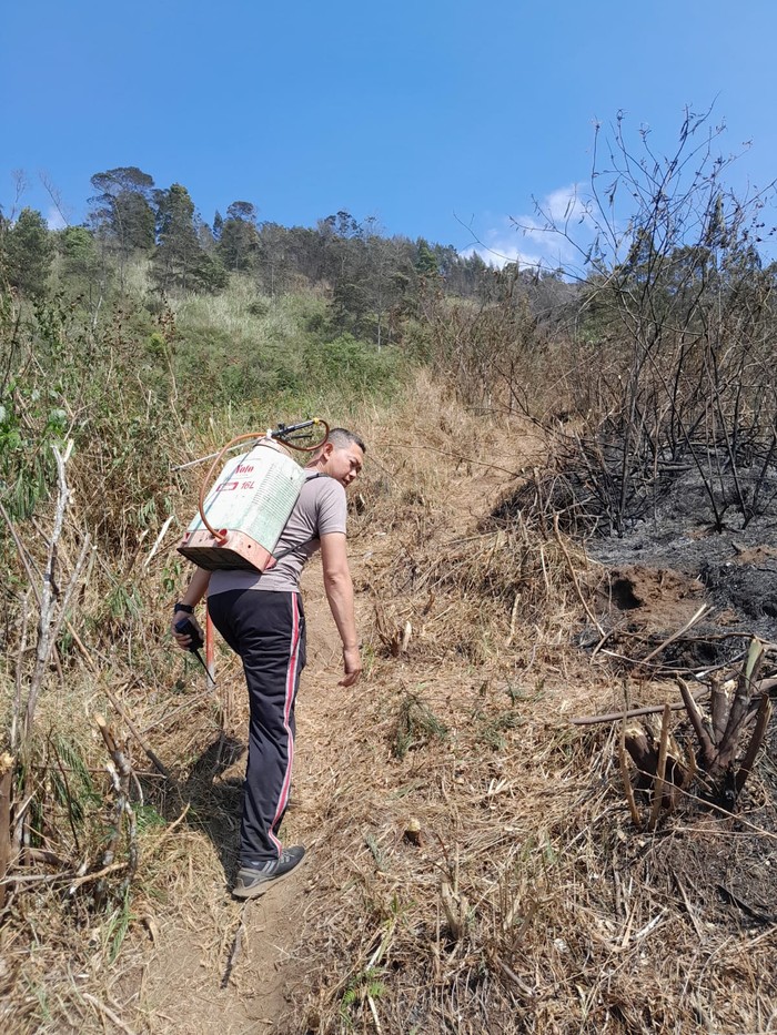 Polisi dan relawan menyisir titik api di Gunung Ungaran, Jumat (13/10/2023).