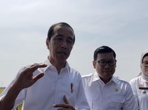 Jokowi soal Harga Gabah Kering Panen: Petani Senang, Konsumen Nggak