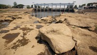 Warga mencari ikan di tengah sungai Cisadane yang mengering di Tangerang, Banten, Jumat (13/10/2023).  