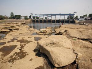 Sungai Cisadane Makin Mengering Gegara Kemarau