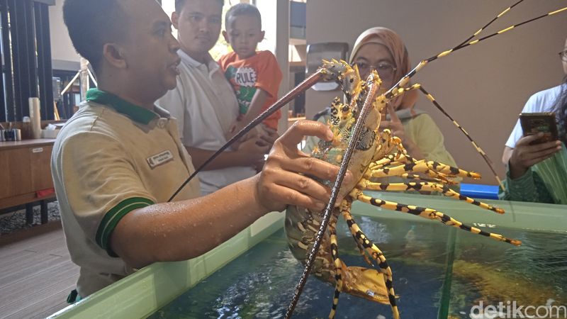 Seru! Foodies Pilih Seafood Segar di Pasar Ikan dan Cicip Hidangan Mantul