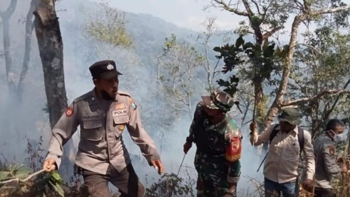 Gunung Argopuro terbakar