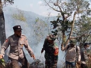 Hutan Gunung Argopuro Terbakar Sisi Situbondo, Luas Lahan 10 Hektare