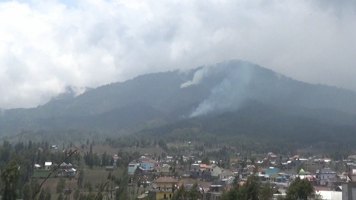 Hutan Gunung Semeru Terbakar