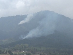 Kemarau Panjang, Hutan Gunung Semeru Kebakaran
