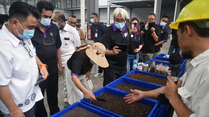 Melihat Pengolahan Limbah Industri Risata di TSI Bogor Petugas memberikan penjelasan kepada sejumlah pengurus pusat Perhimpunan Hotel dan Restoran Indonesia (PHRI) tentang budidaya maggot di Integrated Waste Management (IWM) Taman Safari Indonesia (TSI), Cisarua, Kabupaten Bogor, Jawa Barat, Sabtu (14/10/2023). TSI Bogor bekerjasama dengan PT Greenprosa mengembangkan konsep pengelolaan limbah secara berkelanjutan melalui budidaya maggot dan pupuk organik sehingga menjadi percontohan industri hijau atau green industry untuk kawasan wisata di Indonesia. ANTARA FOTO/Arif Firmansyah/hp.