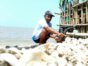 Asa Sukeri, Menjaga Daratan Karawang dari Hantaman Gelombang
