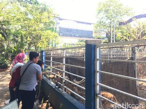 Sederet Alasan Kamu Wajib ke Taman Flora Surabaya