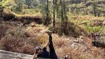 Gaya Tatjana Saphira Naik Gunung Rinjani, Tetap Cantik!