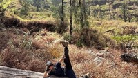 Gokil juga nih gaya fotoTatjana Saphira. Dia menuliskan dalam postingannya One happy girl in the wild dan menandai lokasi Taamn Nasional Gunung Rinjani.