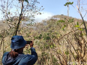 Kebakaran di Gunung Roto Kokap Kulon Progo Belum Padam hingga Malam Ini