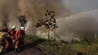 Petugas dari Dinas Pemadam Kebakaran dan Penyelamatan Kota Surabaya memadamkan api yang membakar lahan kosong di kawasan Puri Sukolilo Selatan, Surabaya, Jawa Timur, Minggu (15/10/2023).