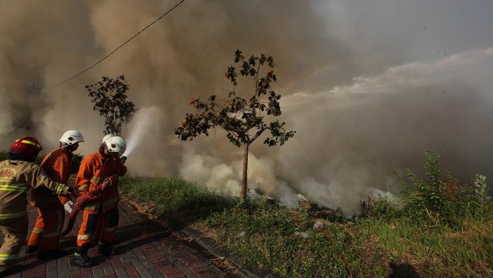 Kebakaran lahan di Surabaya Petugas dari Dinas Pemadam Kebakaran dan Penyelamatan Kota Surabaya meakukan pembasahan lahan kosong yang terbakar di kawasan Puri Sukolilo Selatan, Surabaya, Jawa Timur, Minggu (15/10/2023). Sebanyak delapan kendaraan pemadam kebakaran dikerahkan untuk memadamkan api yang membakar lahan kosong di samping perumahan Lotus Gardens dan penyebab kebakaran itu belum diketahui. ANTARA FOTO/Didik Suhartono/nz