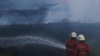 Penyebab kebakaran tersebut masih belum diketahui.