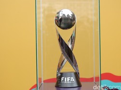 Trofi Piala Dunia U-17 akan singgah di empat kota yang menjadi tuan rumah. Masyarakat luas berbagai kalangan bisa melihat langsung lebih dekat piala tersebut di Jakarta (15 Oktober 2023), Bandung (22 Oktober 2023), Surabaya(29 Oktober 2023), dan Surakarta (5 November 2023).