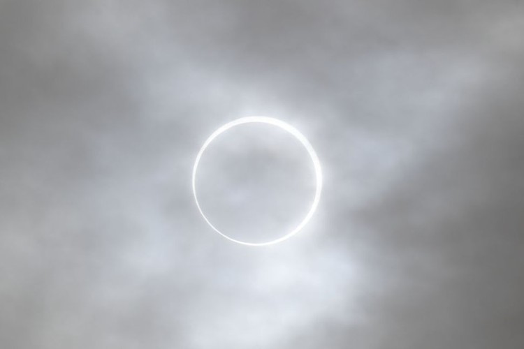 Gerhana Matahari Cincin Api 2023 telah berakhir. Fenomena ini terjadi di berbagai negara bagian di Amerika Serikat. Berikut potret gerhana dan orang-orang yang menikmatinya.
