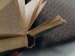 Punya Koleksi Buku di Rumah? Begini Cara Merawatnya Agar Tidak Menguning