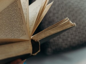 Punya Koleksi Buku di Rumah? Begini Cara Merawatnya Agar Tidak Menguning