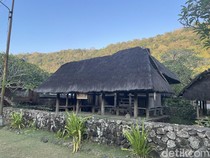 Kuda Persembahan yang Hilang, Ini Kisah Desa Tenganan Pengringsingan