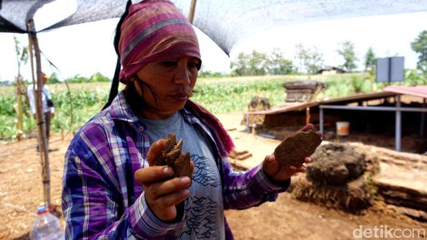 Ekskavasi Situs Watu Kucur Jombang yang diduga menemukan tangga bangunan suci pra-Majapahit.