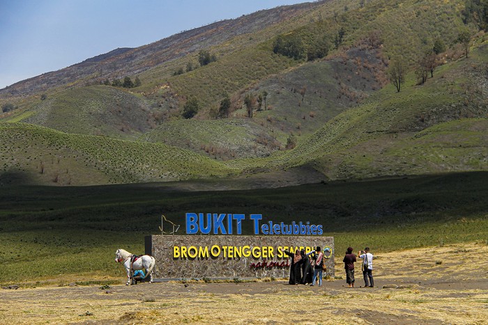 Foto udara kondisi lahan di Kawasan Gunung Bromo, Probolinggo, Jawa Timur, Senin (16/10/2023). Kawasan tersebut mulai ditumbuhi vegetasi sehingga tampak hijau setelah terbakar pada Rabu (6/9) dan padam pada Kamis (14/9).