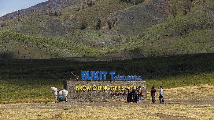 Gunung Bromo Hijau Lagi Foto udara kondisi lahan di Kawasan Gunung Bromo, Probolinggo, Jawa Timur, Senin (16/10/2023). Kawasan tersebut mulai ditumbuhi vegetasi sehingga tampak hijau setelah terbakar pada Rabu (6/9) dan padam pada Kamis (14/9).
