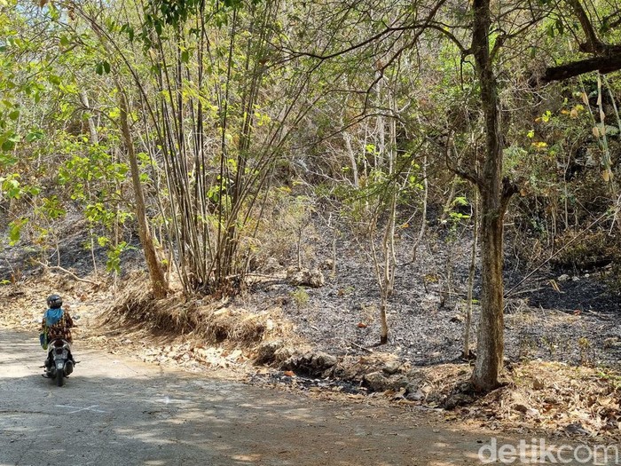 Gunung Gathak di pinggir Jalan Gedaren 1-Koripan 2, Ponjong, Kabupaten Gunungkidul, DIY, yang terbakar pada Minggu (15/10) malam. Dipotret Senin (16/10/2023).