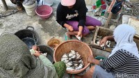 Warga mengaku saat ini ikan di Waduk Pacal sulit di pancing maupun dijala oleh para nelayan saat musim kemarau. Membuat harga ikan nila meningkat disekitar area Waduk Pacal.Foto: Ainur Rofiq