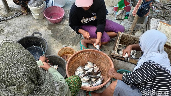 Kemarau Panjang debit air di Waduk Pacal, Bojonegoro menjadi surut