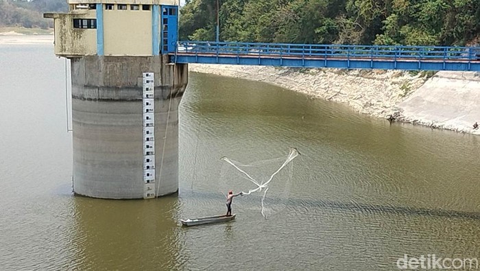 Kemarau Panjang debit air di Waduk Pacal, Bojonegoro menjadi surut