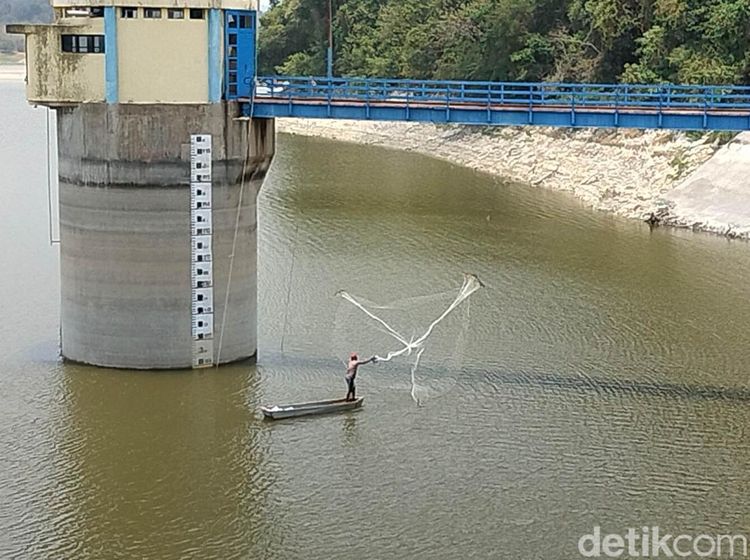 Musim Kemarau Debit Air Waduk Pacal Surut