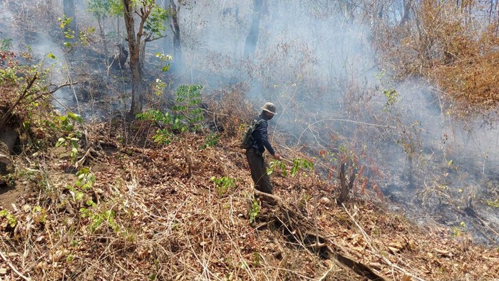 Lahan seluas 6 hektare di Desa Banyupoh, Kecamatan Gerokgak, Kabupaten Buleleng, Bali, terbakar sejak Sabtu (14/10/2023). (Istimewa)
