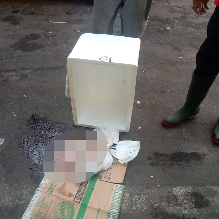 Mayat bayi yang ditemukan di parkiran Bandara Internasional I Gusti Ngurah Rai. (Dok. Polres Kawasan Bandara Ngurah Rai)