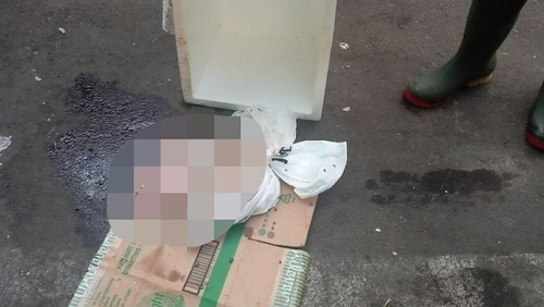 Mayat bayi yang ditemukan di parkiran Bandara Internasional I Gusti Ngurah Rai. (Dok. Polres Kawasan Bandara Ngurah Rai)