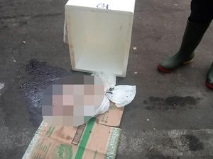 Polisi Tangkap Pembuang Mayat Bayi di Bandara Ngurah Rai