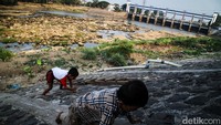 Kekeringan pada musim kemarau panjang di sungai Cisadane sudah terjadi sejak tiga bulan.  
