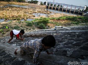 Mengering, Sungai Cisadane di Tangerang Jadi Tempat Bermain