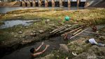 Mengering, Sungai Cisadane di Tangerang Jadi Tempat Bermain