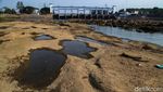 Mengering, Sungai Cisadane di Tangerang Jadi Tempat Bermain