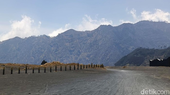 Pemandangan Savana Gunung Bromo Kembali Menghijau Pemandangan kawasan savana Gunung Bromo kembali hijau. Rumput dan ilalang telah tumbuh menjadikan salah satu lokasi favorit wisatawan itu kembali indah dipandang setelah hangus terbakar