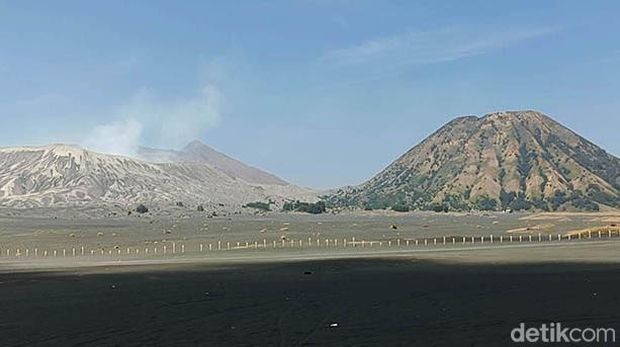 Pemandangan kawasan savana Gunung Bromo kembali hijau. Rumput dan ilalang telah tumbuh menjadikan salah satu lokasi favorit wisatawan itu kembali indah dipandang setelah hangus terbakar