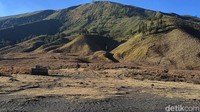 Pemandangan Savana Gunung Bromo kini kembali hijau yang berdekatan dengan lautan pasir.