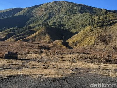 Potret Savana Gunung Bromo Kembali Menghijau